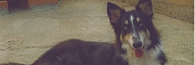 Andres Suarez (Taylor's Version) banner