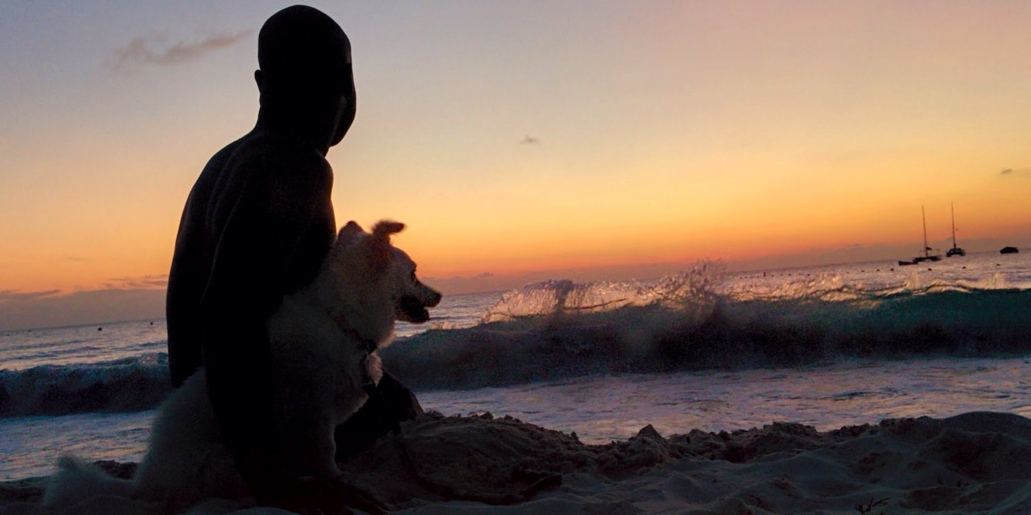 Sharssweetness's profile banner image