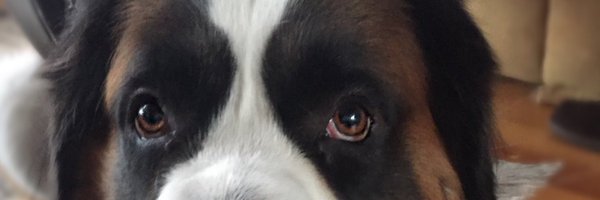 usua Profile Banner