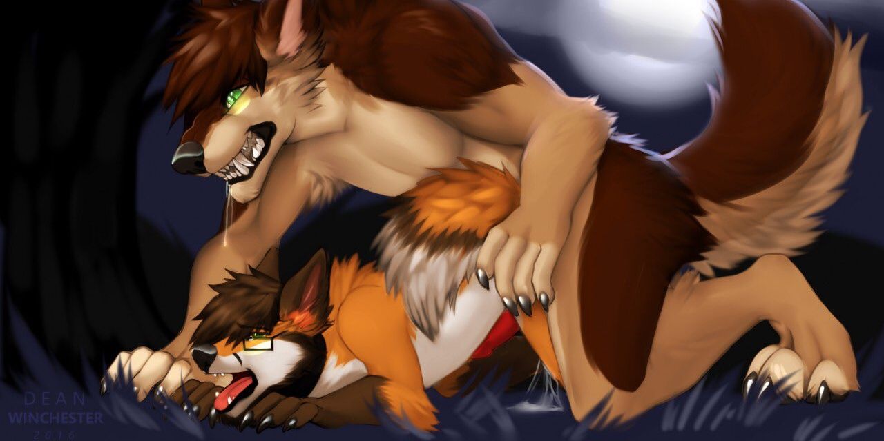Simba_prideland's profile banner image