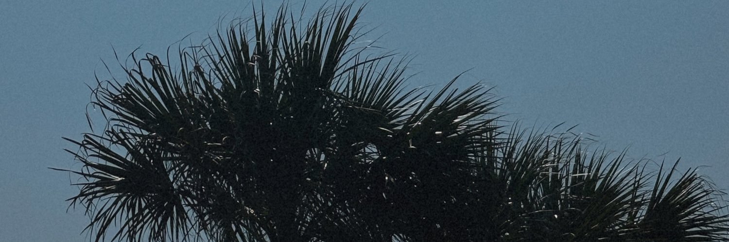 malananavarre's profile banner image