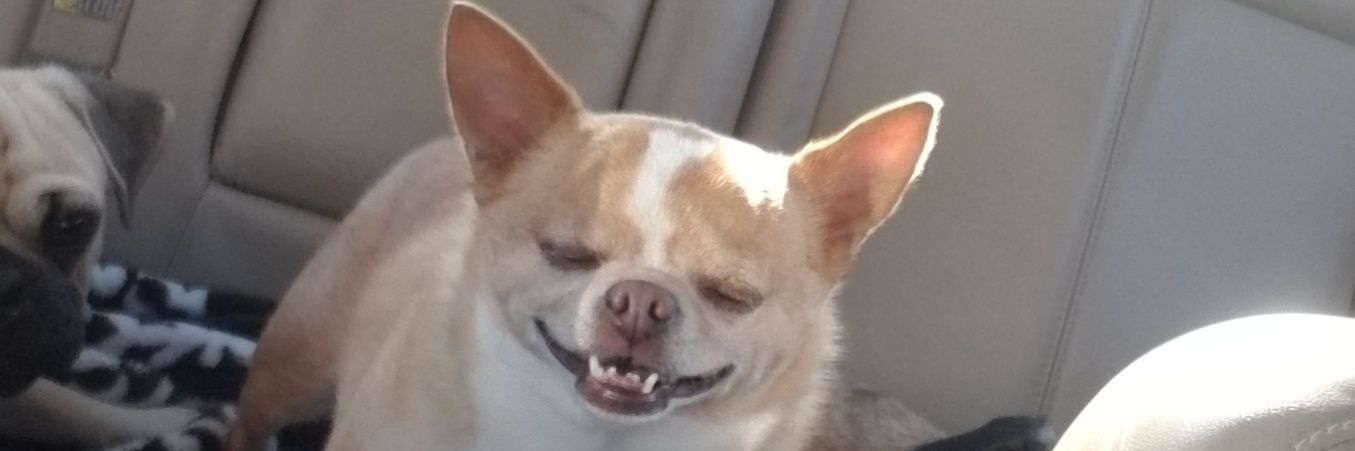 satindaddyx's profile banner image