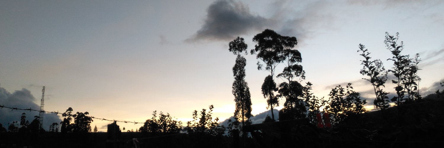 hulukalut's profile banner image