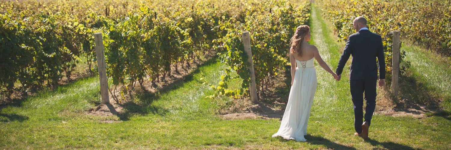 Dana Romanick banner