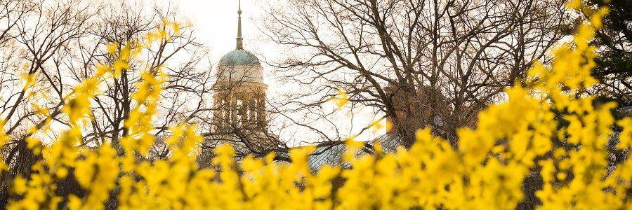 WFUSAC's profile banner image