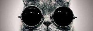 RonIsACoolGuy's profile banner image