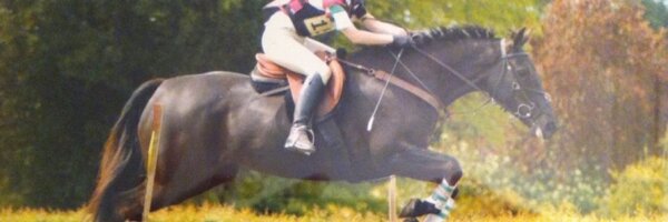 HLBish Profile Banner