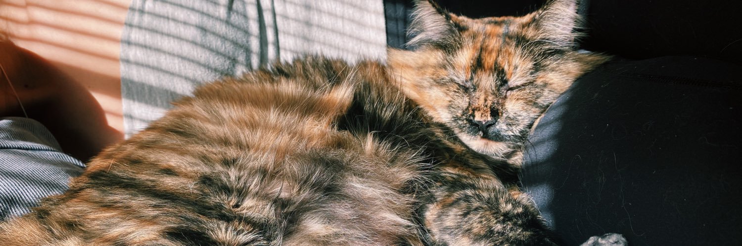 kyleepowell_'s profile banner image