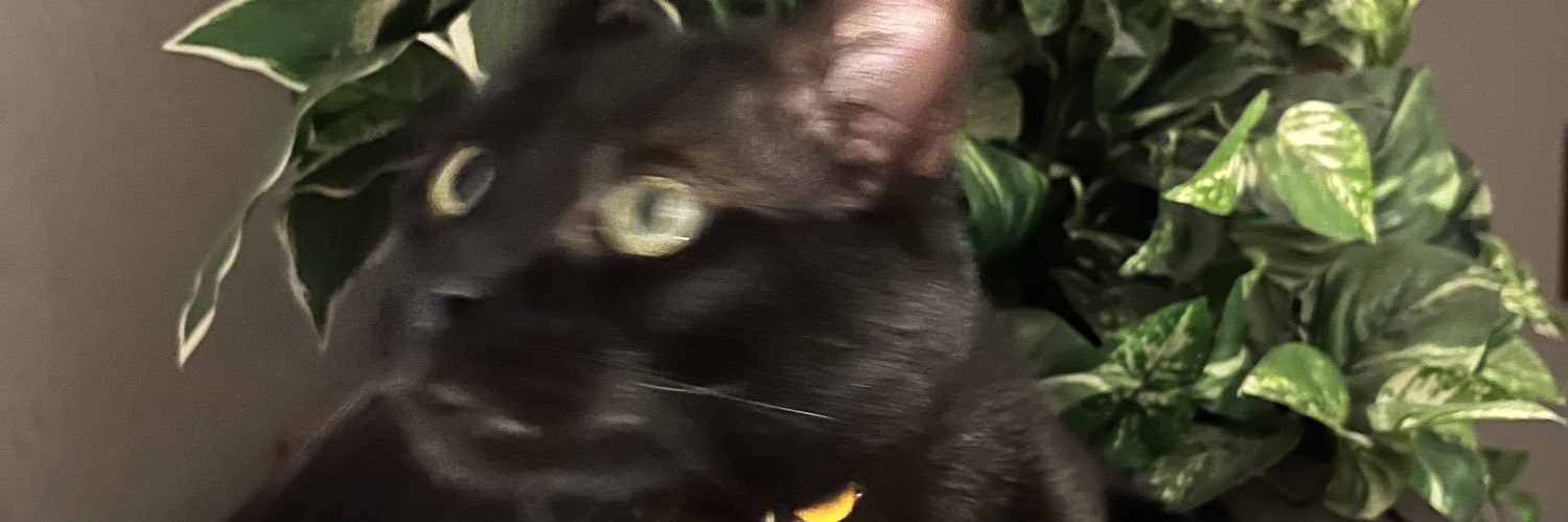 yazahell's profile banner image