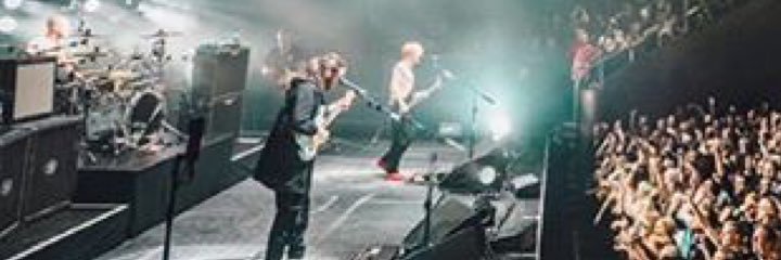 eefjespierings's profile banner image