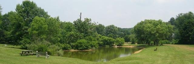 WestWhiteland's profile banner image