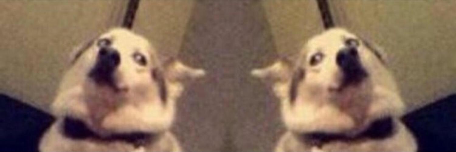 itstrevi's profile banner image