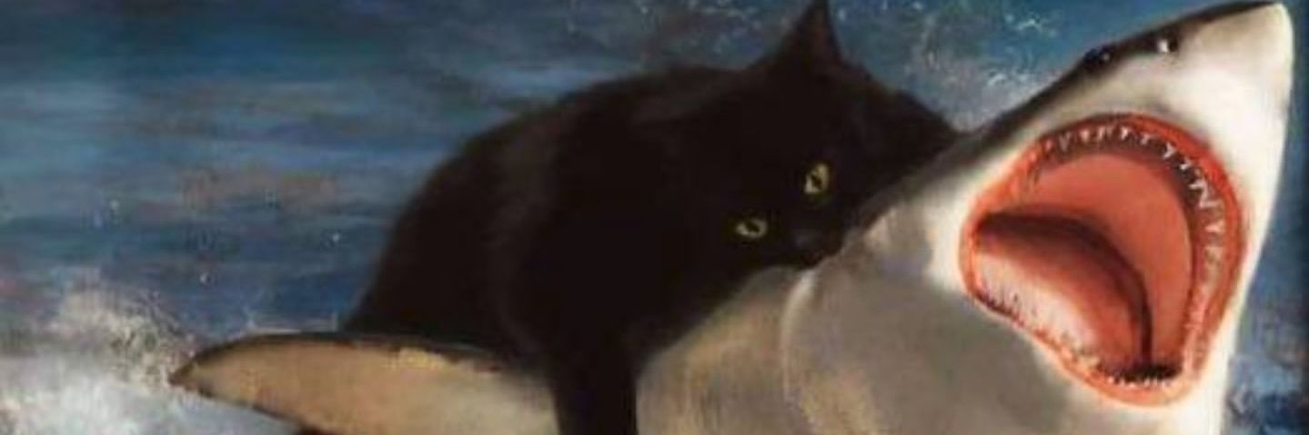 muconlayn's profile banner image