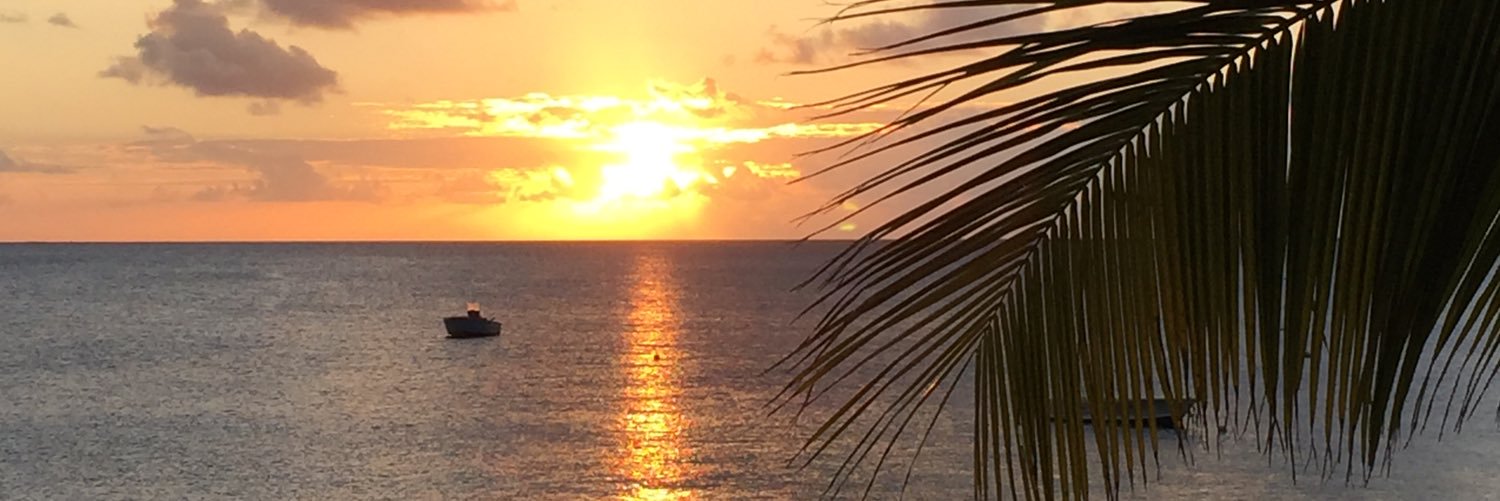 Nicholas McIlwain banner