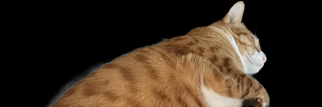 AlchemistXan's profile banner image