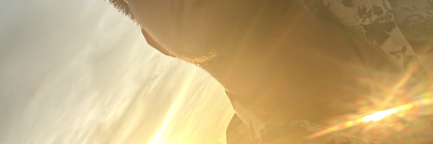 acropolis914's profile banner image