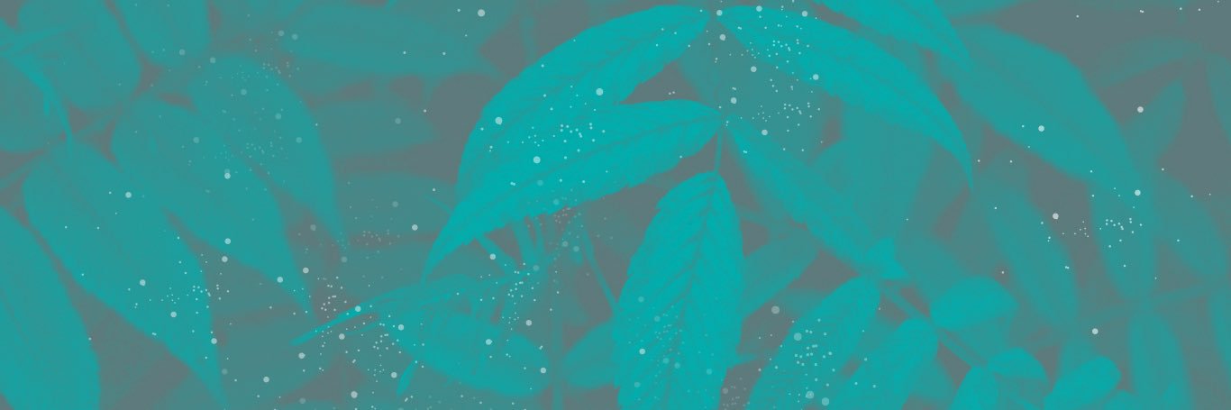 JeanBean27's profile banner image