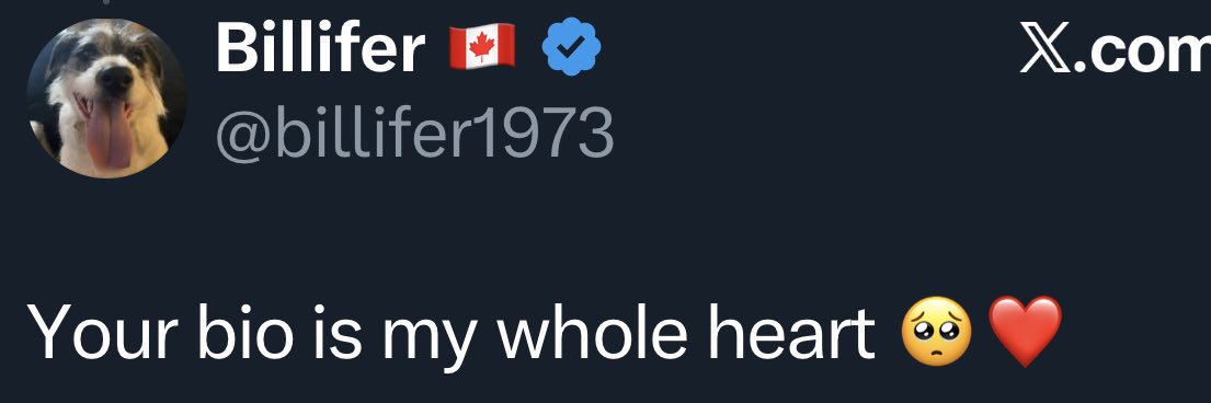 Aunt Steph xo banner