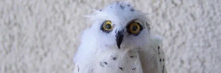 Owlotic's profile banner image