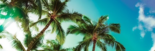 Koukimo_T Profile Banner