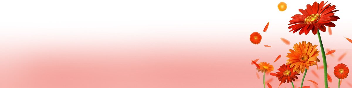 tgbvc1's profile banner image