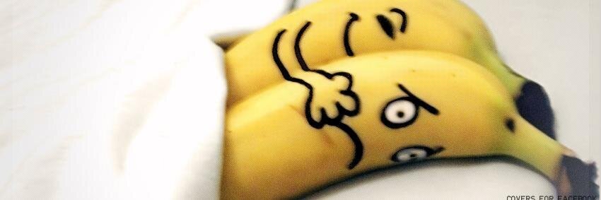 SirBananna's profile banner image