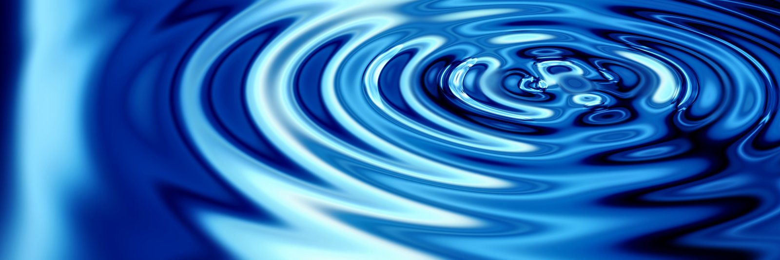 Hans Goossens banner