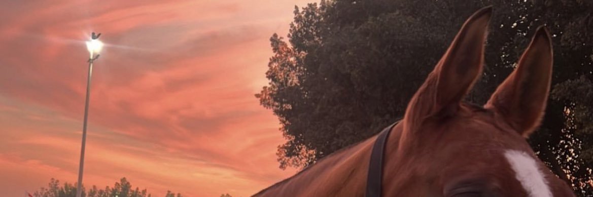 danalh37's profile banner image