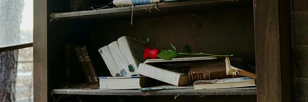 whenindoubtnj's profile banner image
