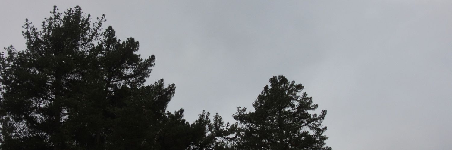 cvroroo's profile banner image