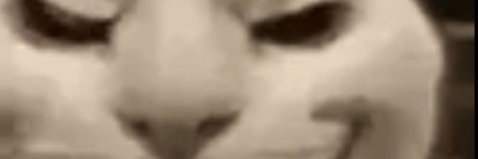 0x_Kdust's profile banner image
