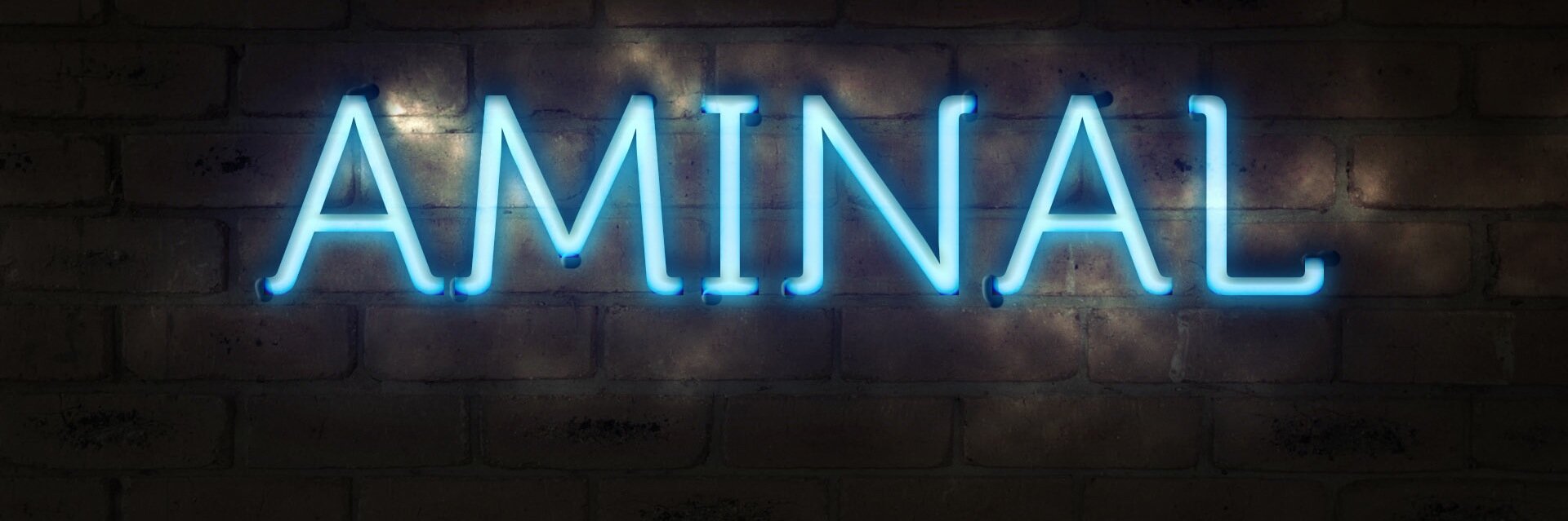 _AMINAL's profile banner image