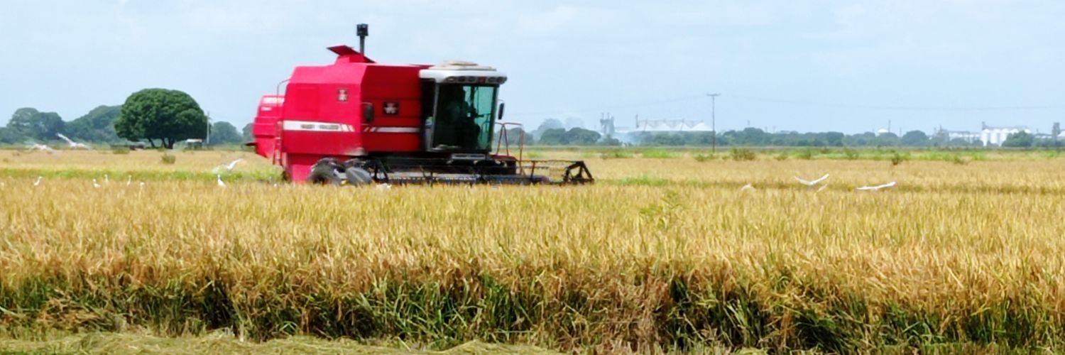 Roberto Latini Di Berardino banner