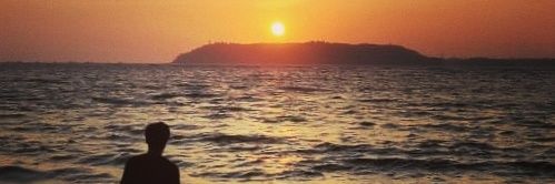 stephen_gustavo's profile banner image