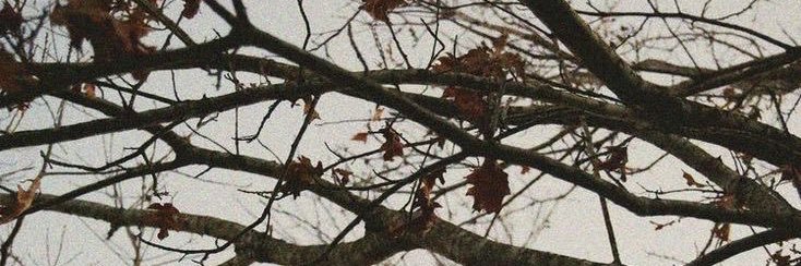 ׄ banner