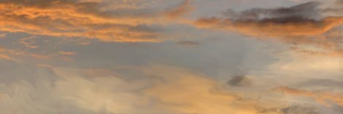 AddyDossi_'s profile banner image