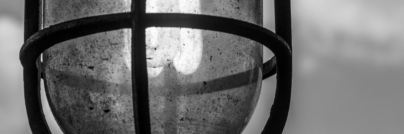 Wallace Feitosa banner