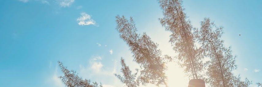 jhoonesc's profile banner image