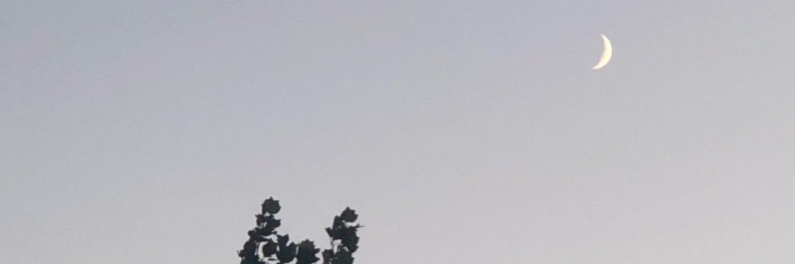 CJTwo4's profile banner image