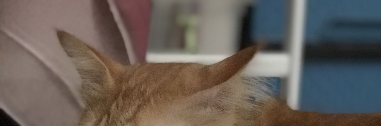exahridz_'s profile banner image
