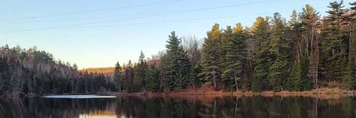 Tony Traer🇨🇦🇨🇦🇨🇦 banner