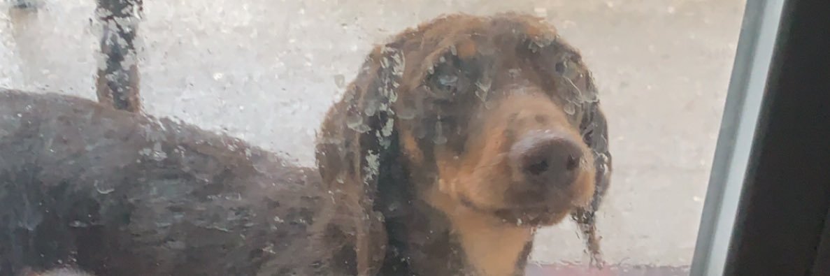 zoerizzle's profile banner image