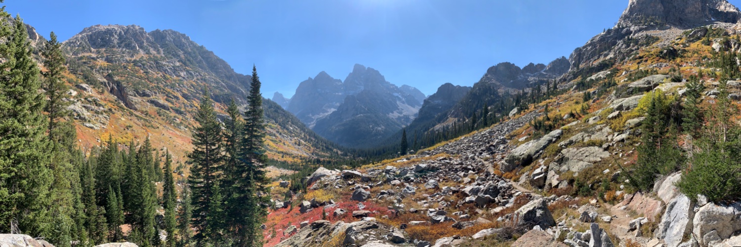 Liam Butler-Lawrence banner