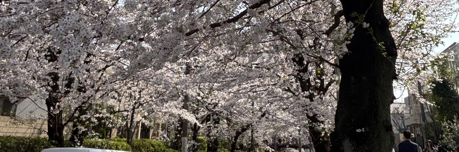 でんえんちょうふ弁当店🍱 banner