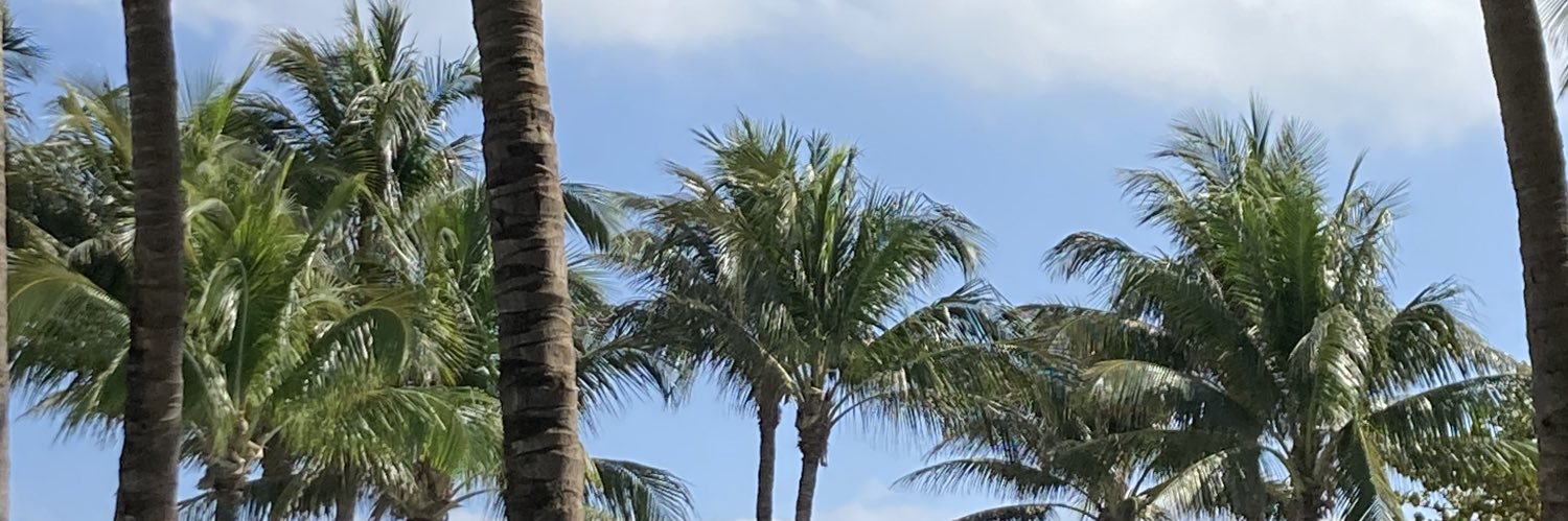 trapscoop's profile banner image