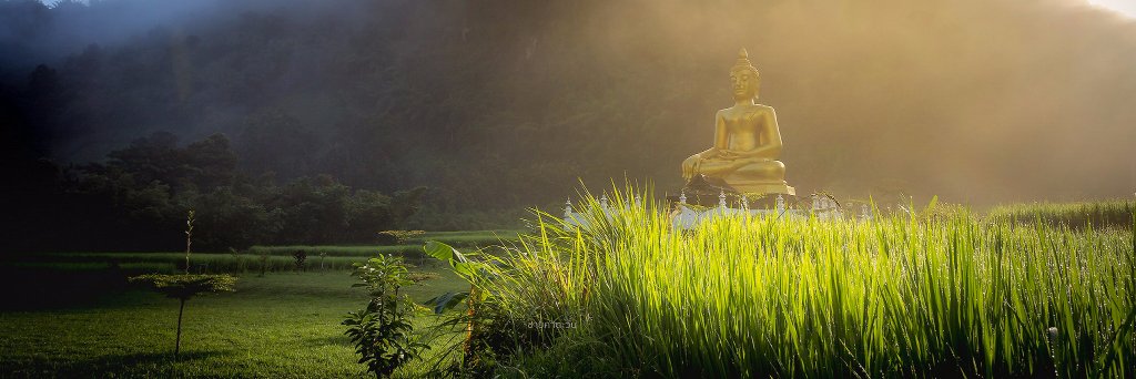Chaicatawan's profile banner image