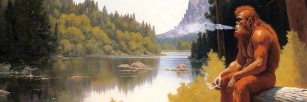 Zaidninja Profile Banner