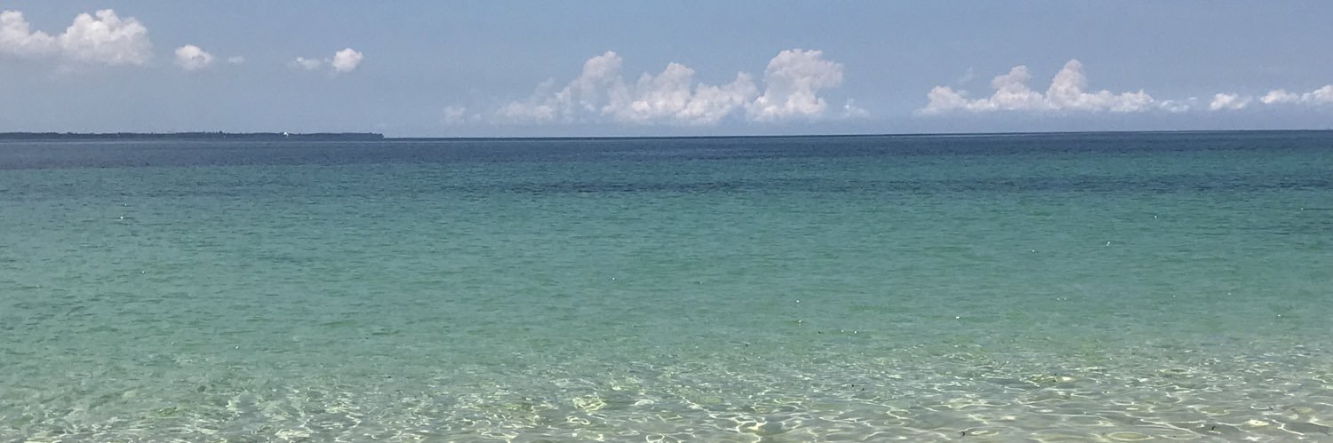 MiguelMarkle's profile banner image