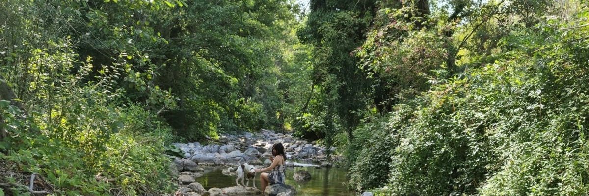 mychorrizae's profile banner image