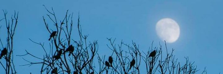 sunscope1221's profile banner image